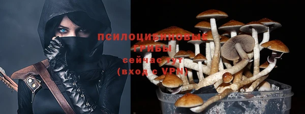 хмурый Алексеевка