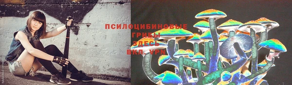 мет Мегион